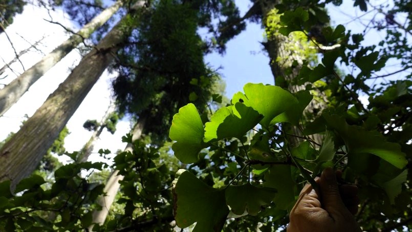 La PUCV a través del Instituto de Geografía, integra proyecto multinacional sobre reservas de la biósfera