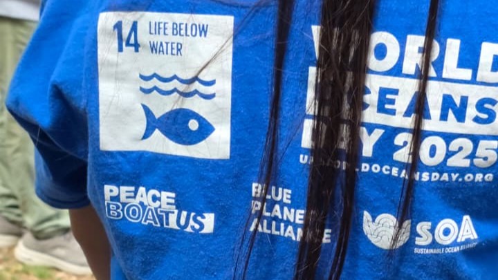 Instituto de Geografía PUCV participa en actividad artística-ambiental vinculada al paso del Barco de la Paz por Valparaíso