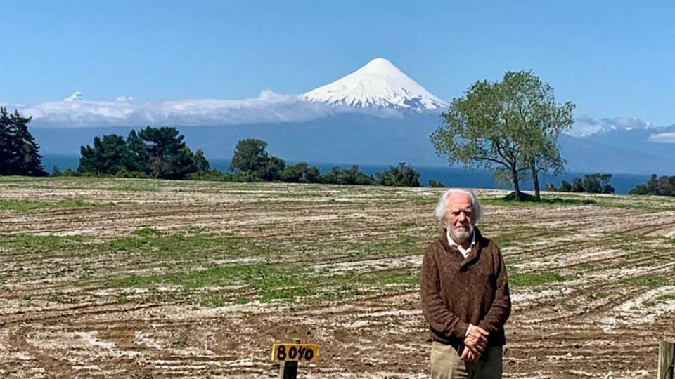 Semblanza del profesor Dr. Víctor Raúl Constanzo Cerda (Q. E. P. D.)